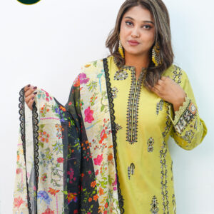 Experience the Charm of Pakistani Heera’s Collection by NR Fashion
